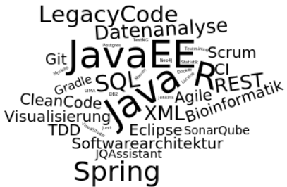 Java(EE), R, Spring...